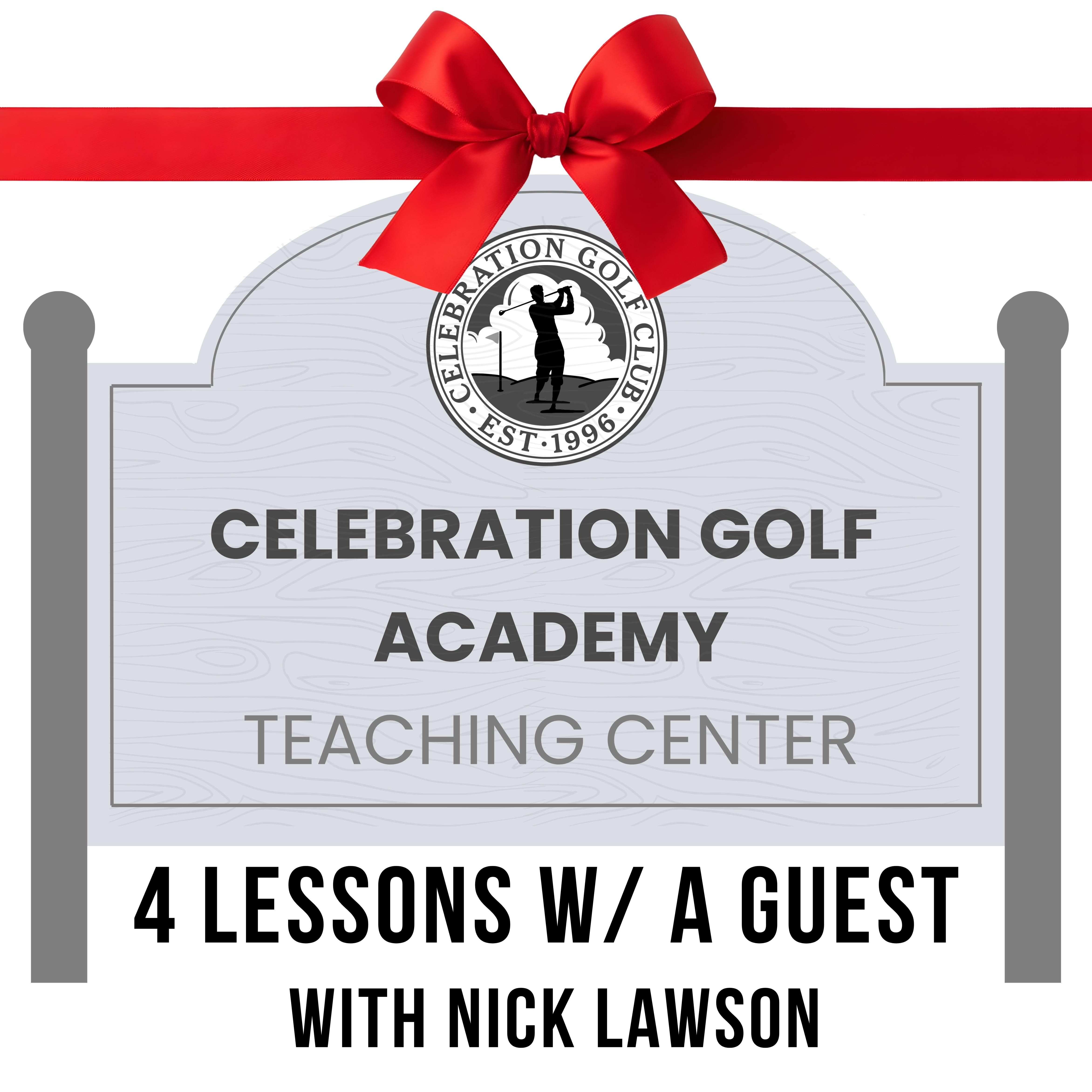 Holiday Lesson Package - 4 Lessons with a guest
